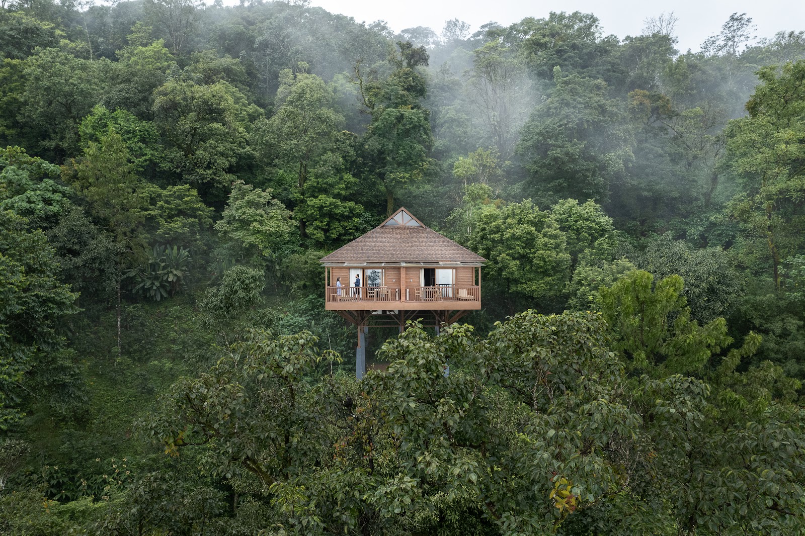 The Tamara Coorg
