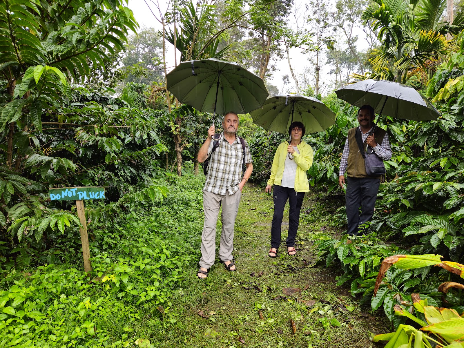 Prakruti Coffee Plantation