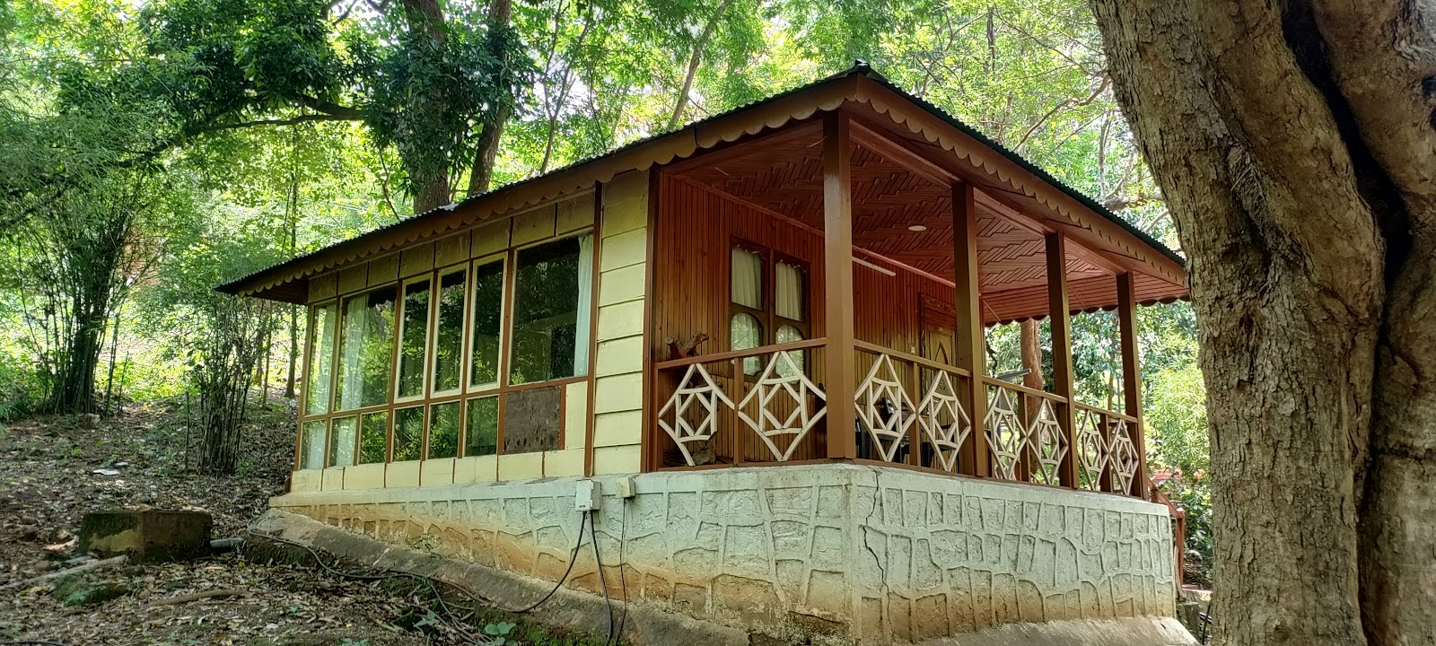 Haritha Jungle Bells TYDA