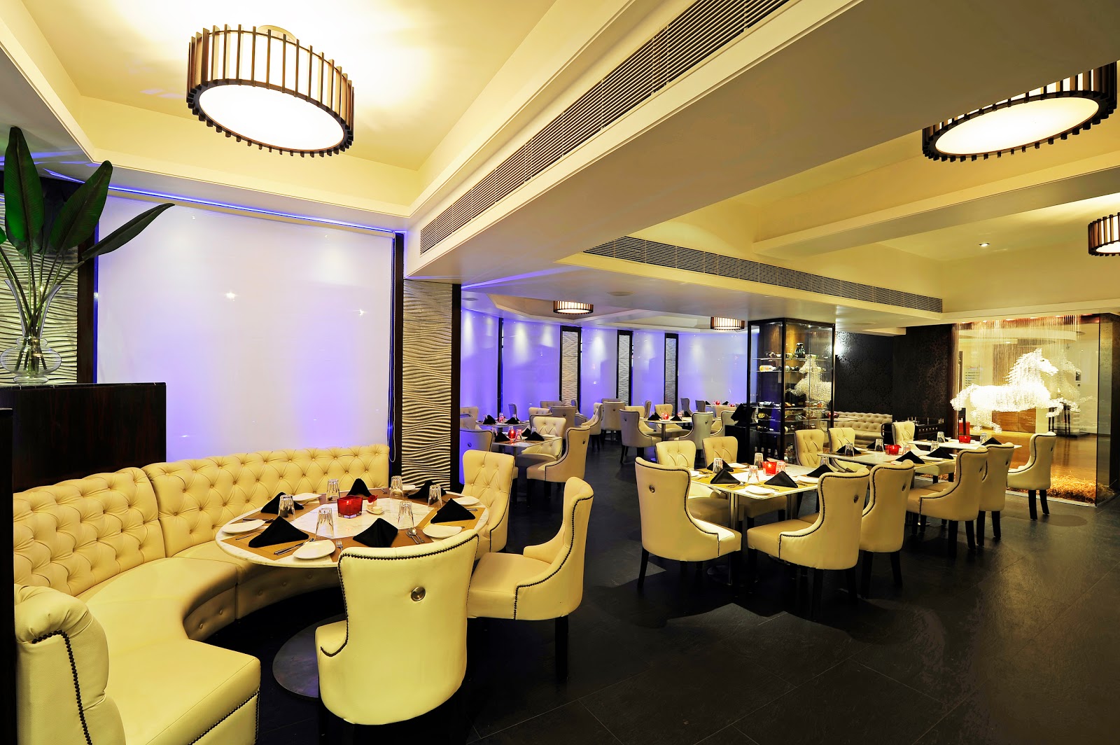 Café 24