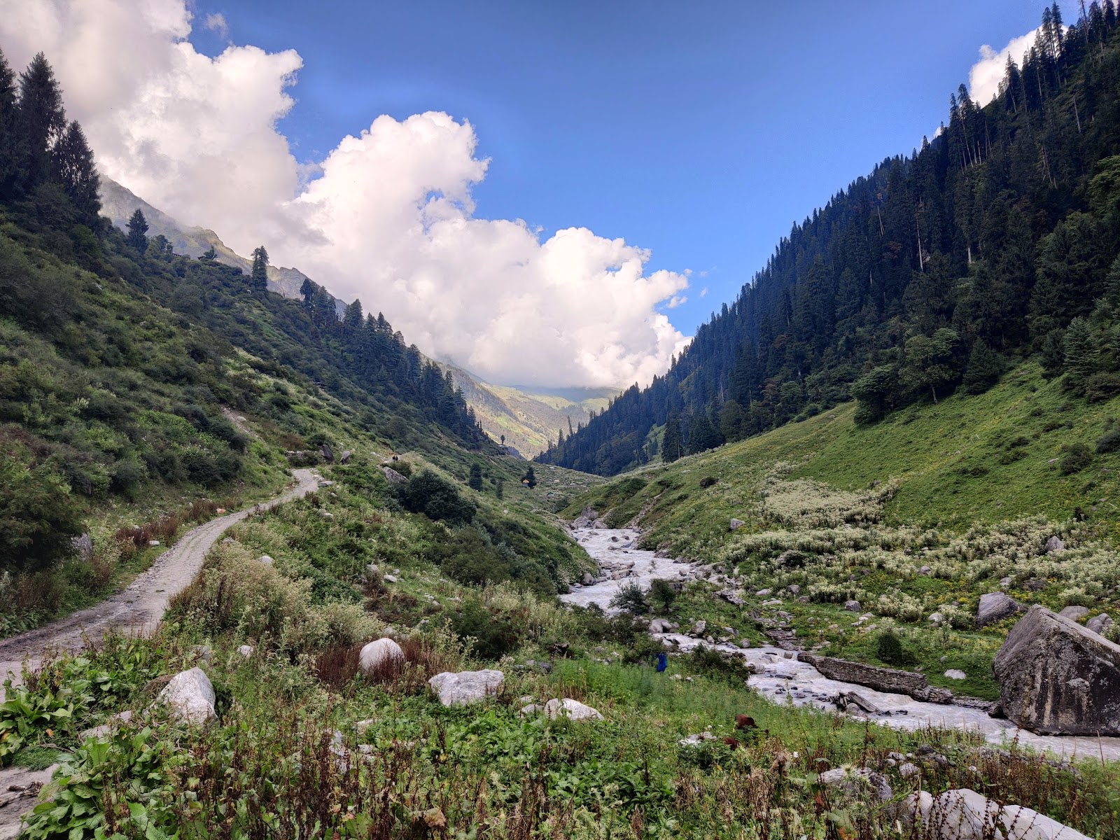malana