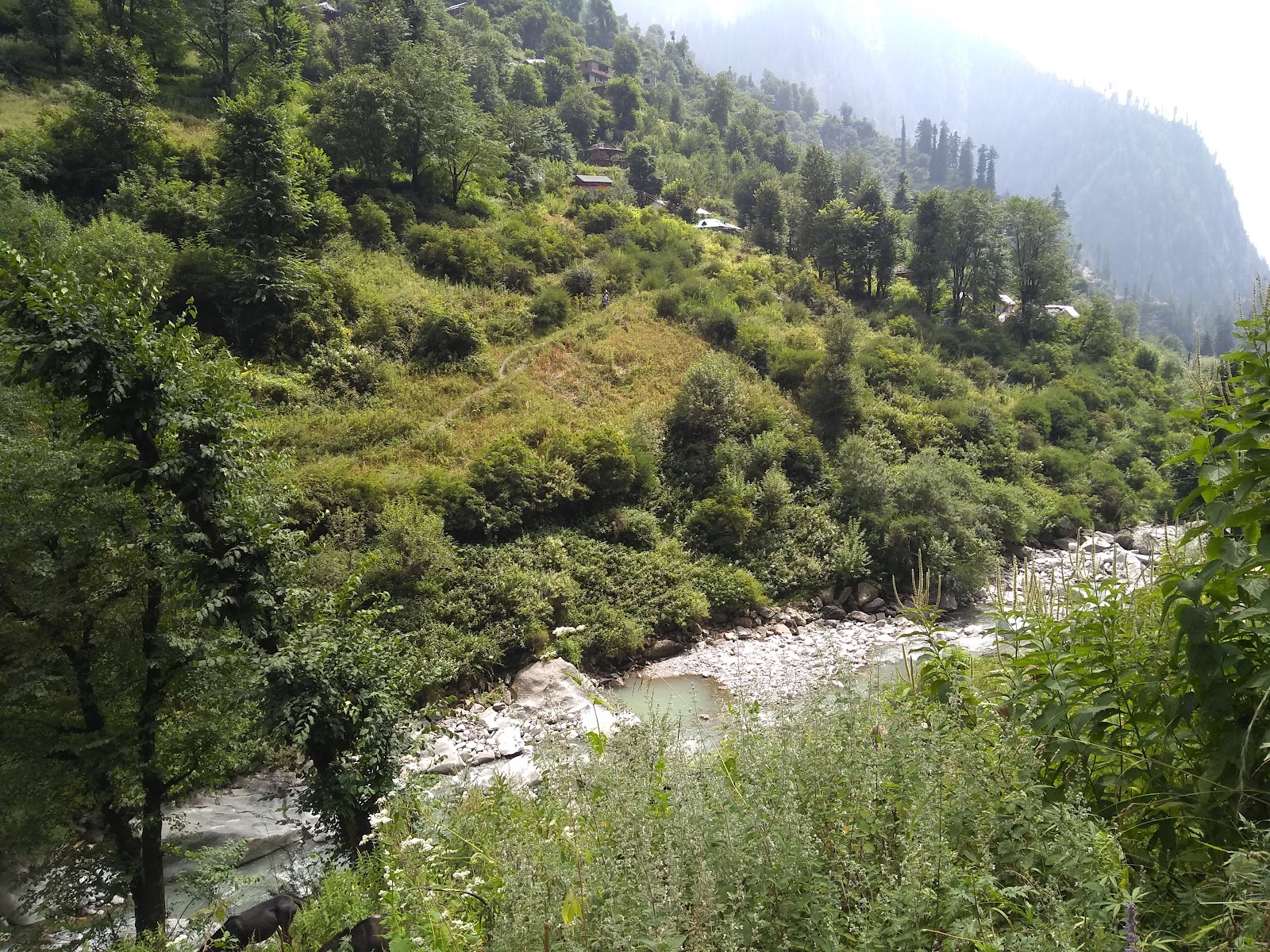 Malana Village Road