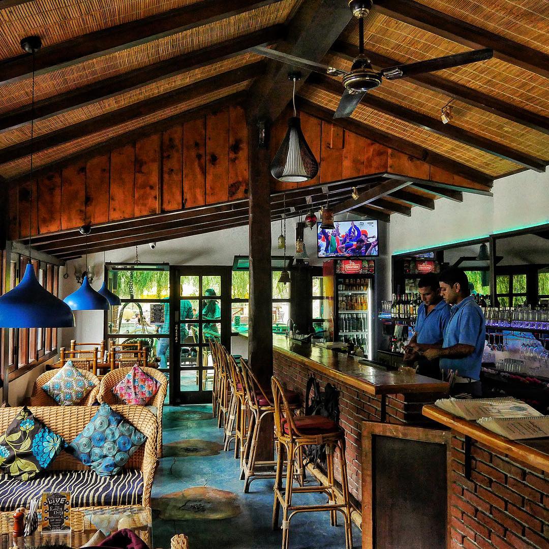 The Lazy Dog