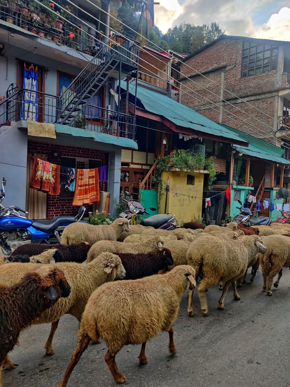 Old Manali