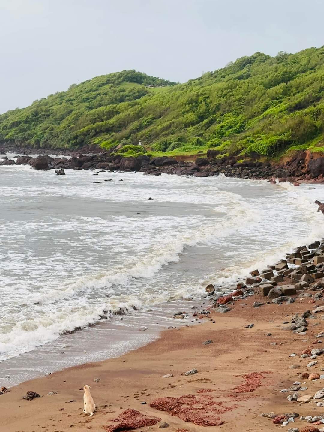 Anjuna Beach