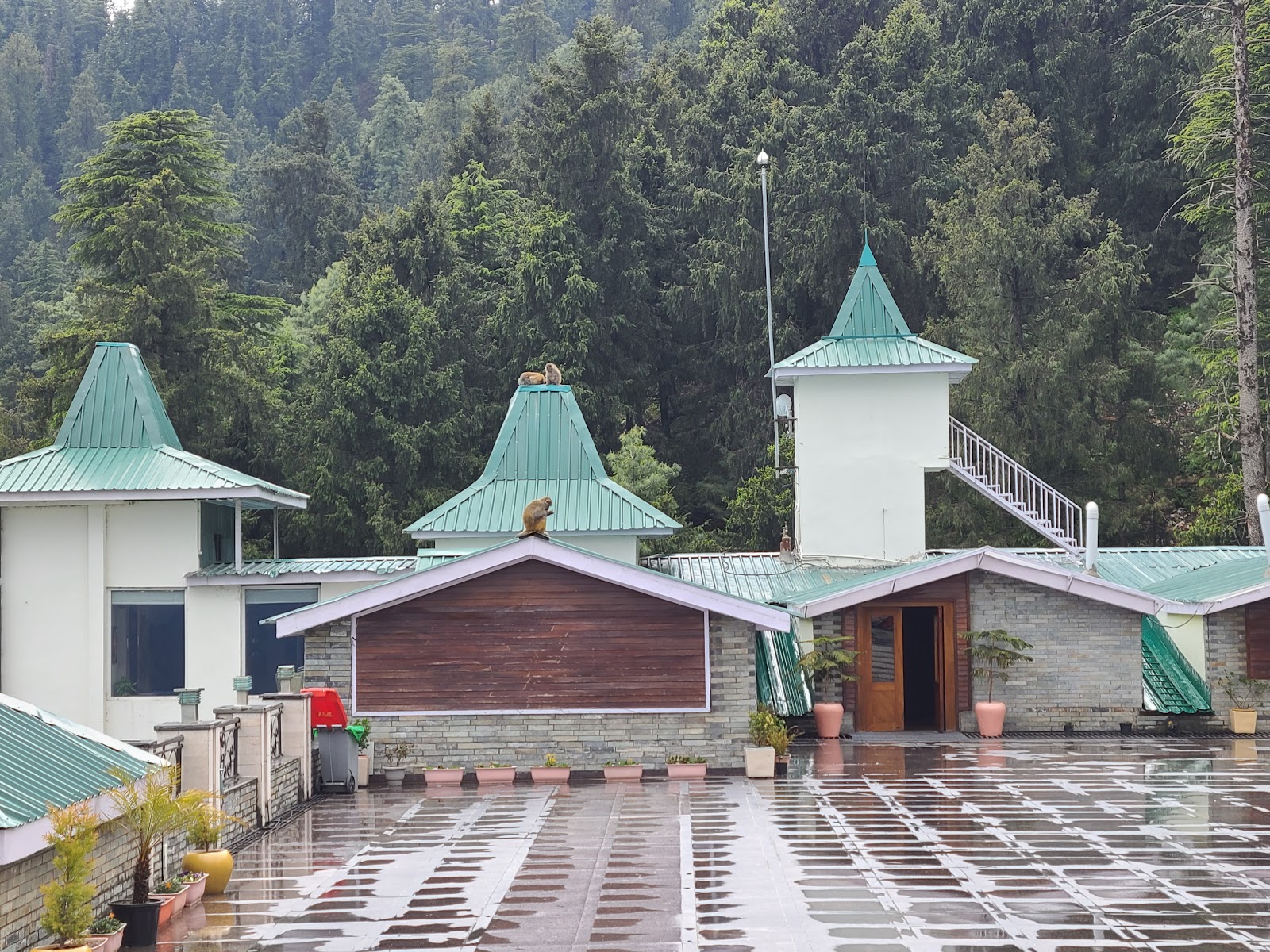 The Mōcana Himalayas, Shimla