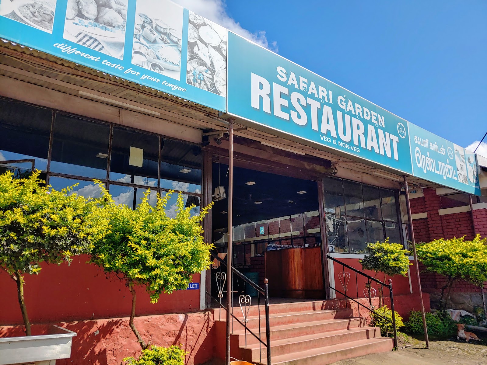 Safari Garden Restaurant