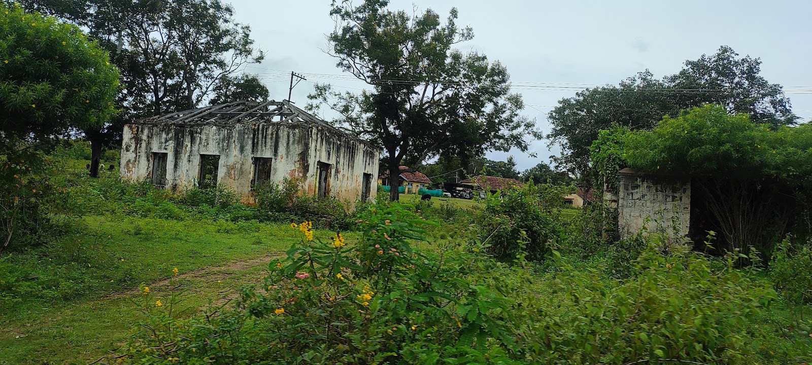 Masinagudi