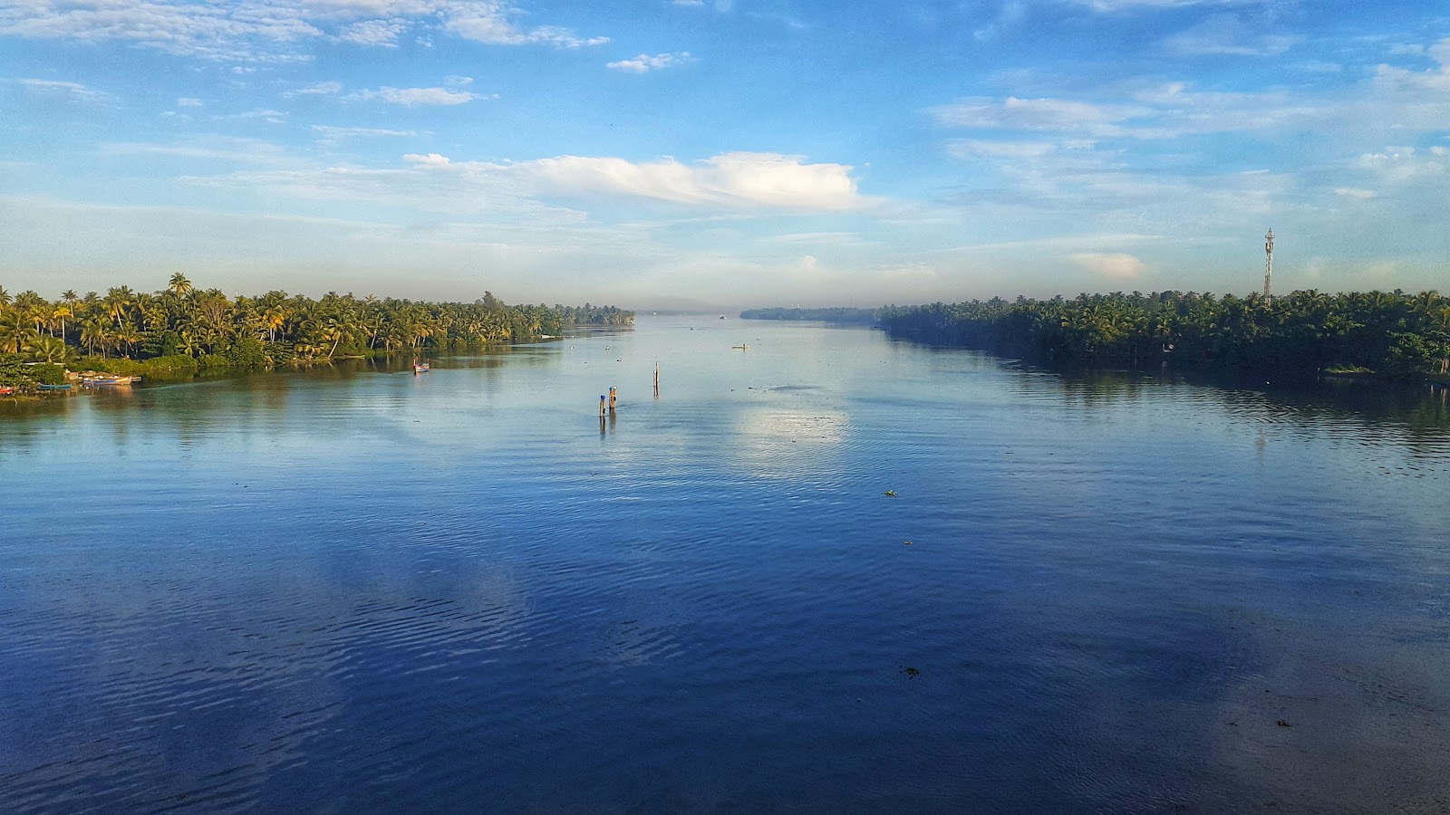 Kayamkulam Kayal