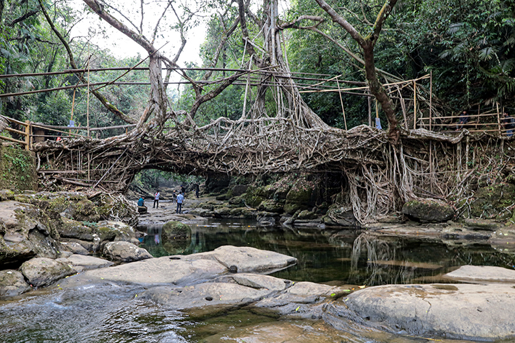 Living Root Bridge, Riwai Village