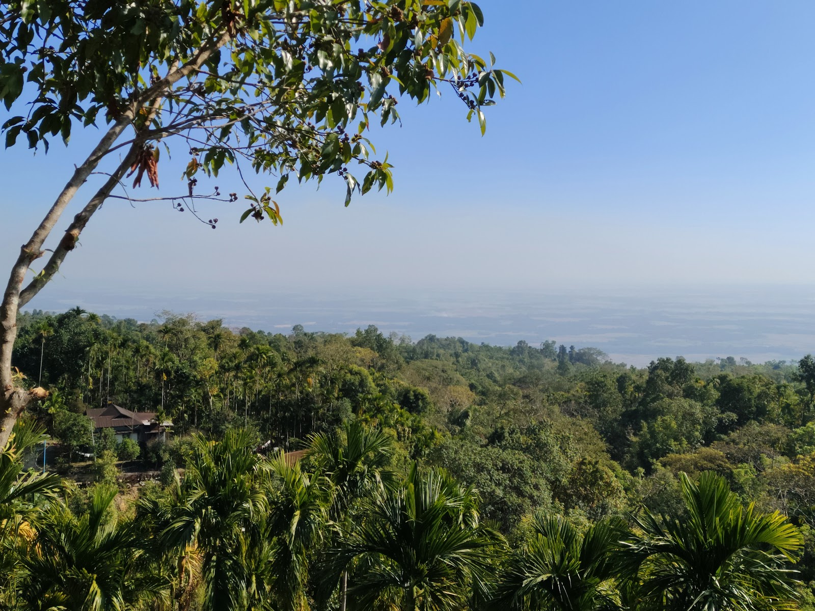 Sky View Point