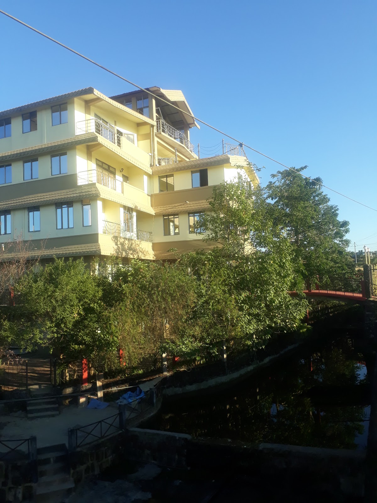 Coniferous Hotel