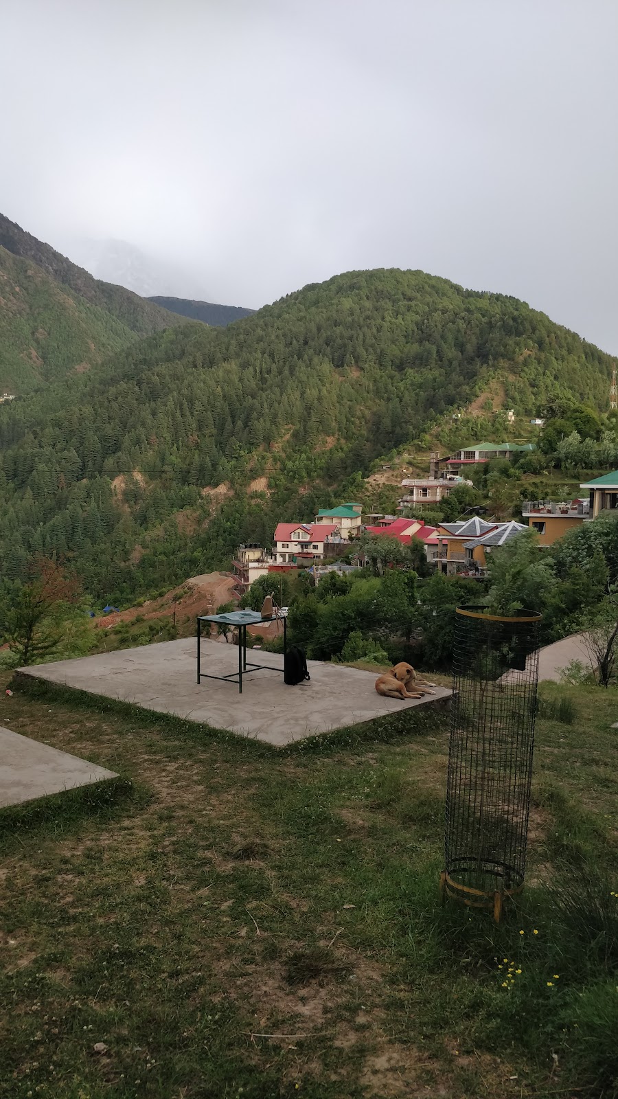 Naddi Road