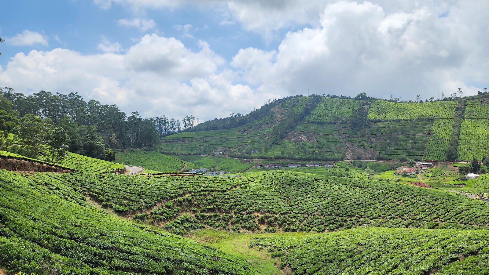 Megamalai View Point