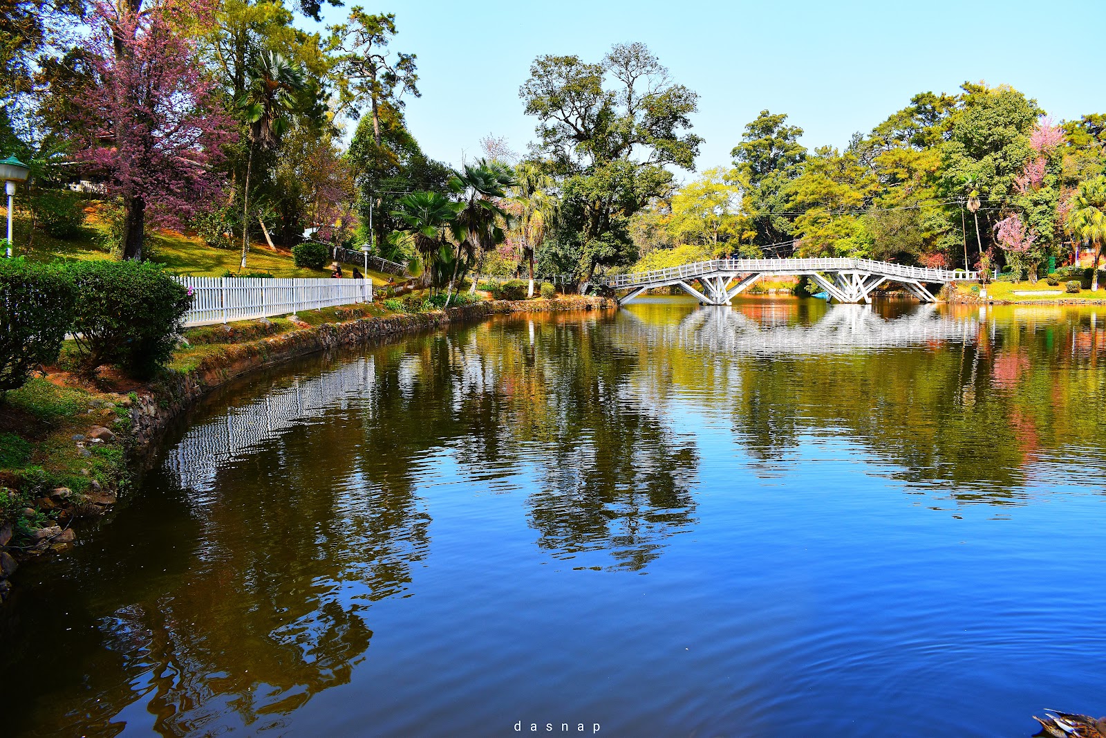 Ward's Lake