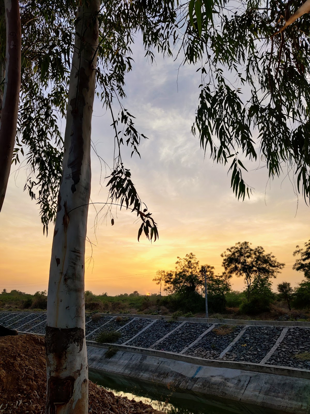 Modasa, Gujarat, India