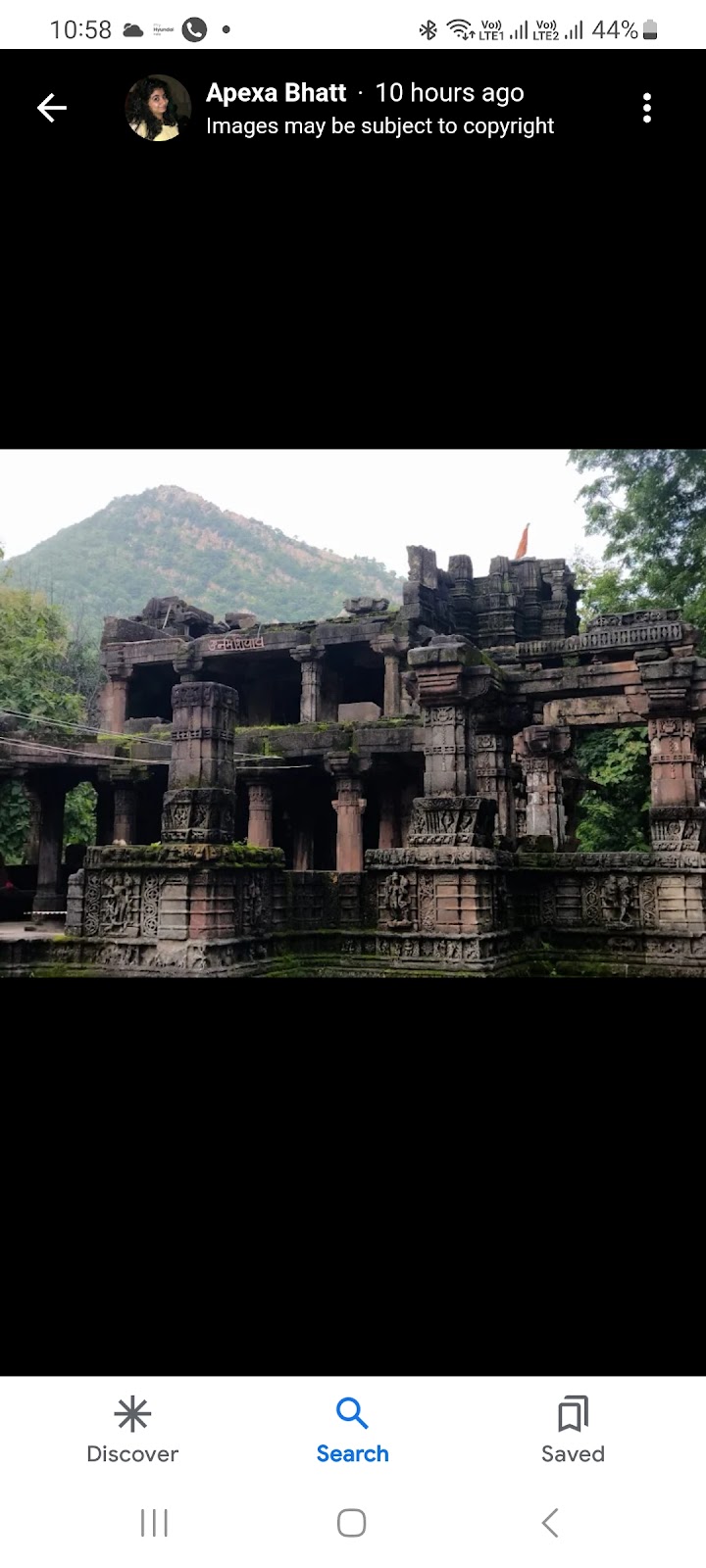 POLO FOREST