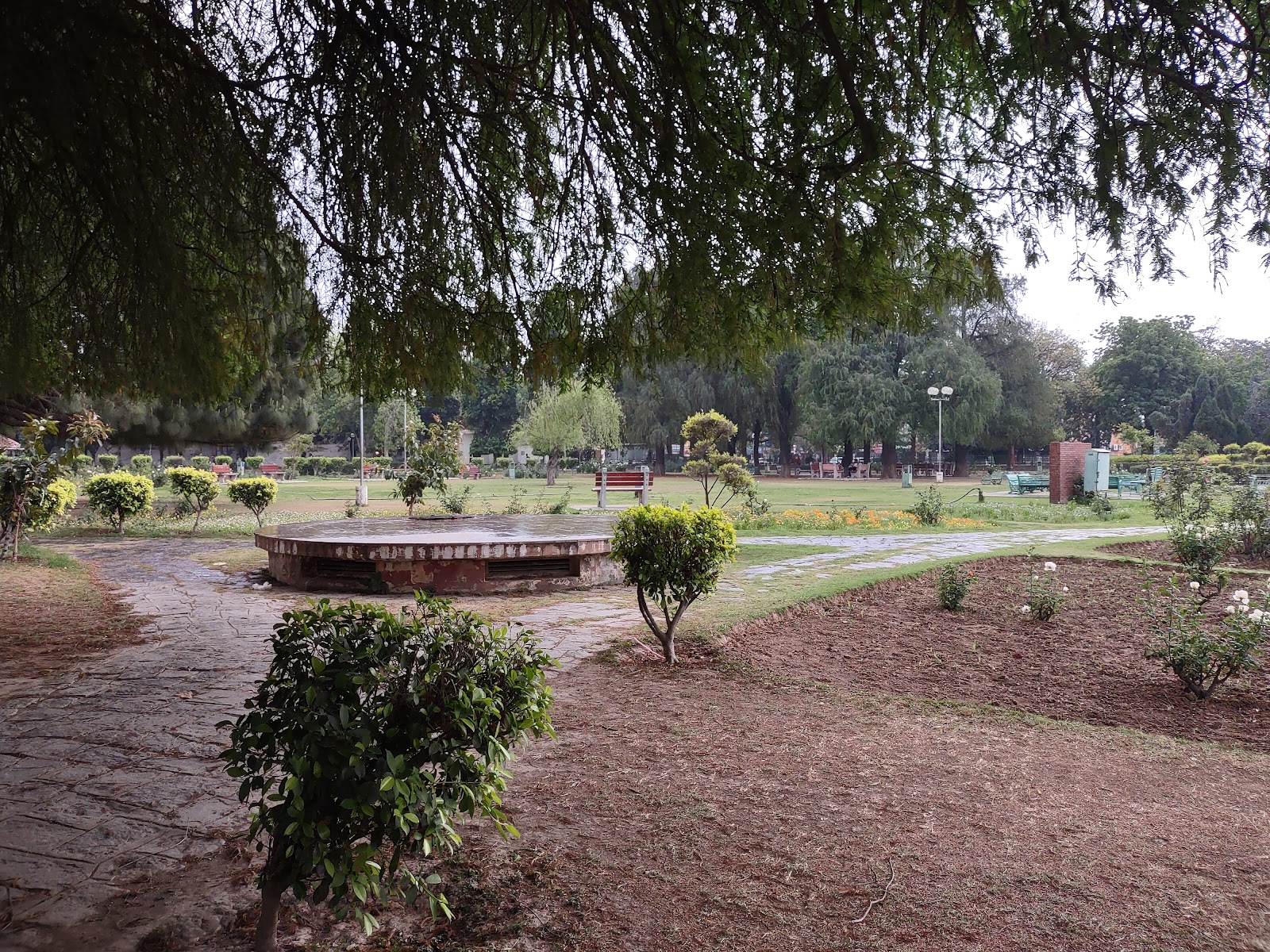Rose Garden