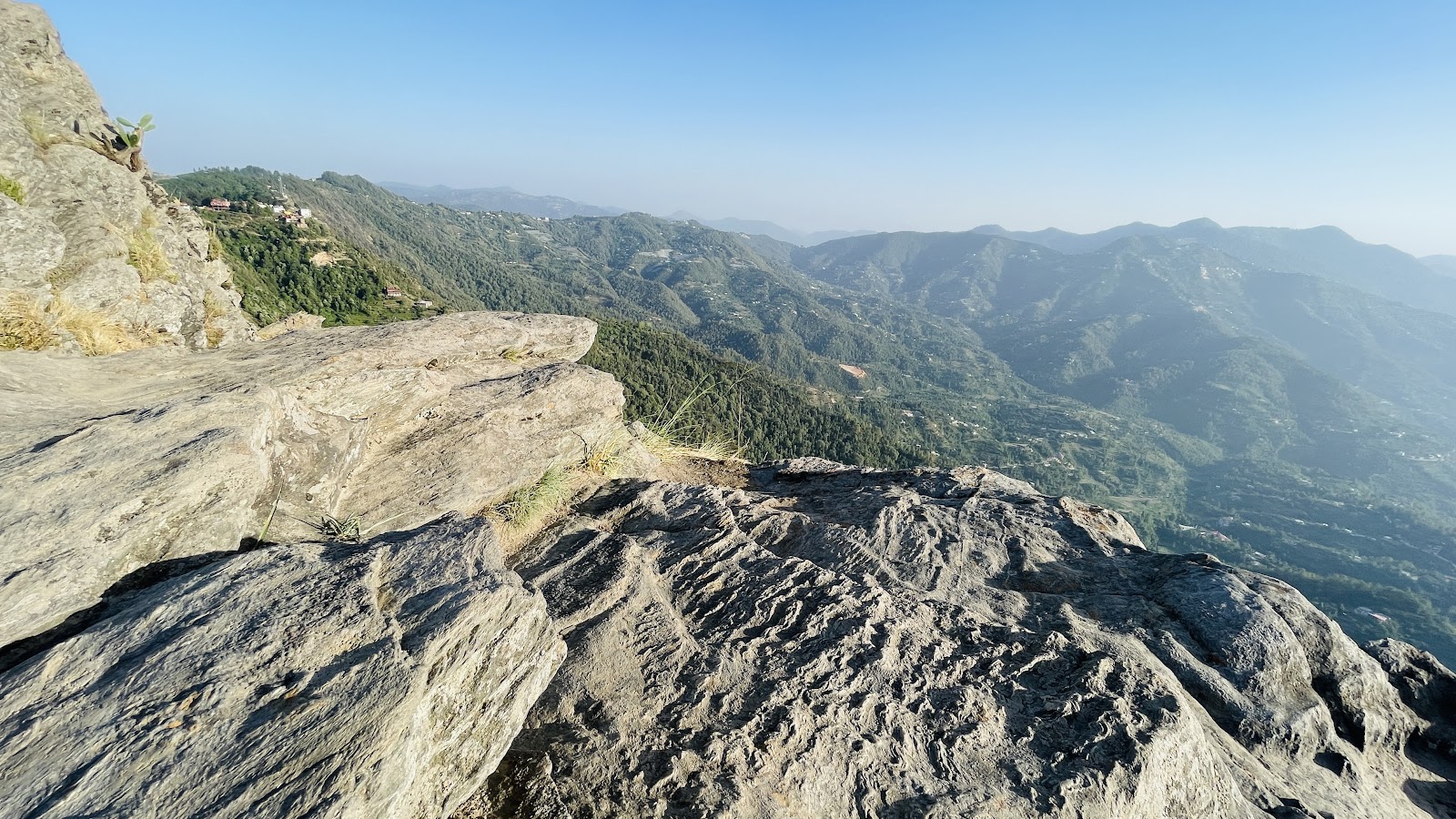 Chauli Ki Jali