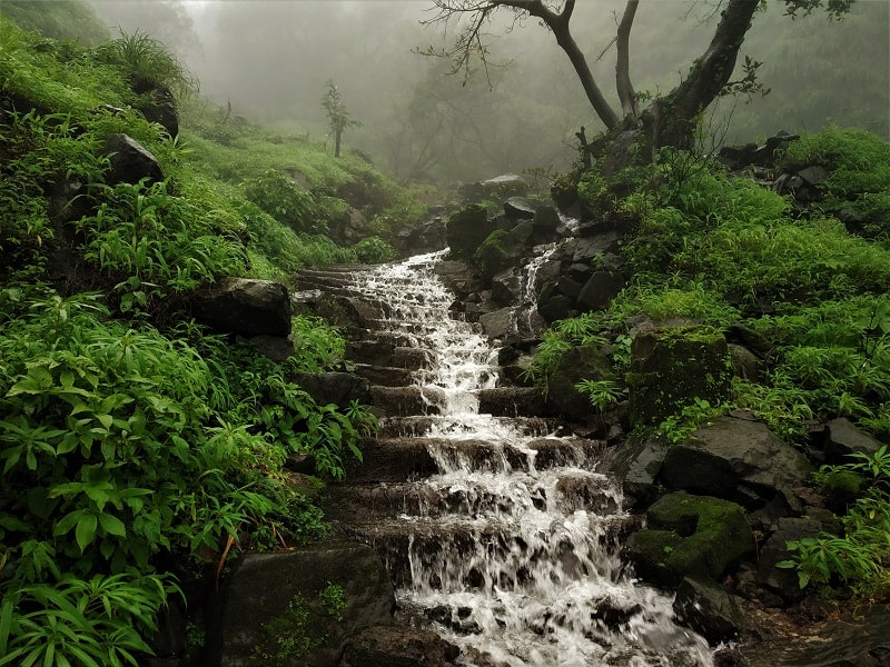 Mulshi, Maharashtra, India