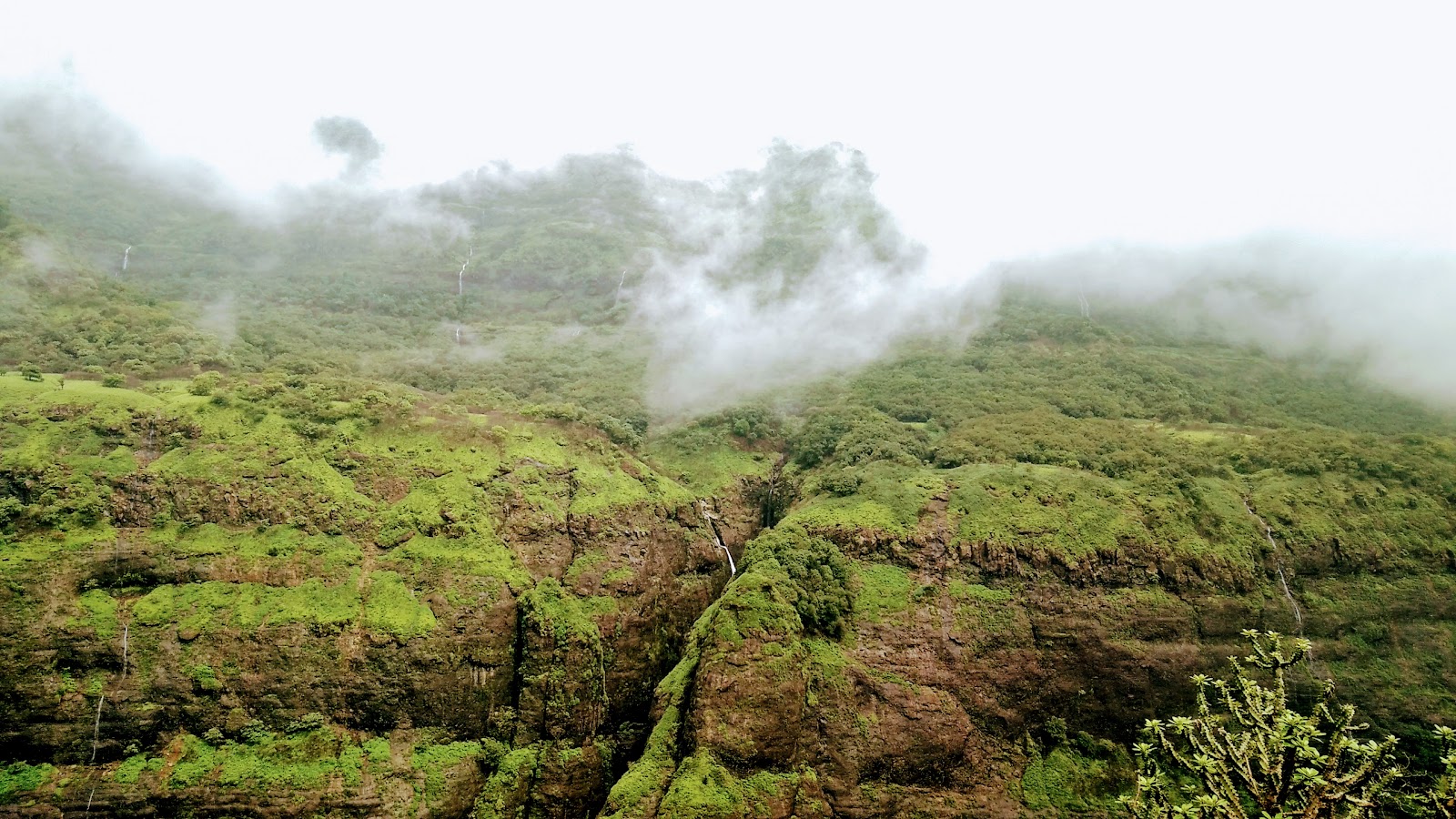 Tamhini Ghat Road