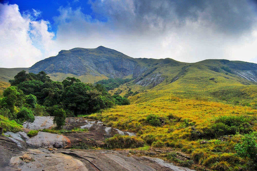 Eravikulam National Park