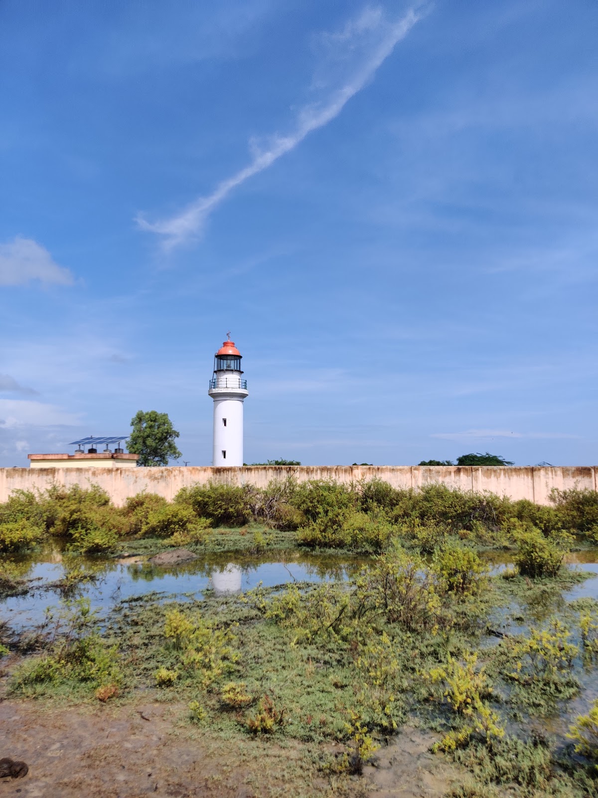 Point Calimere Wildlife Sanctuary (Kodiakarai)