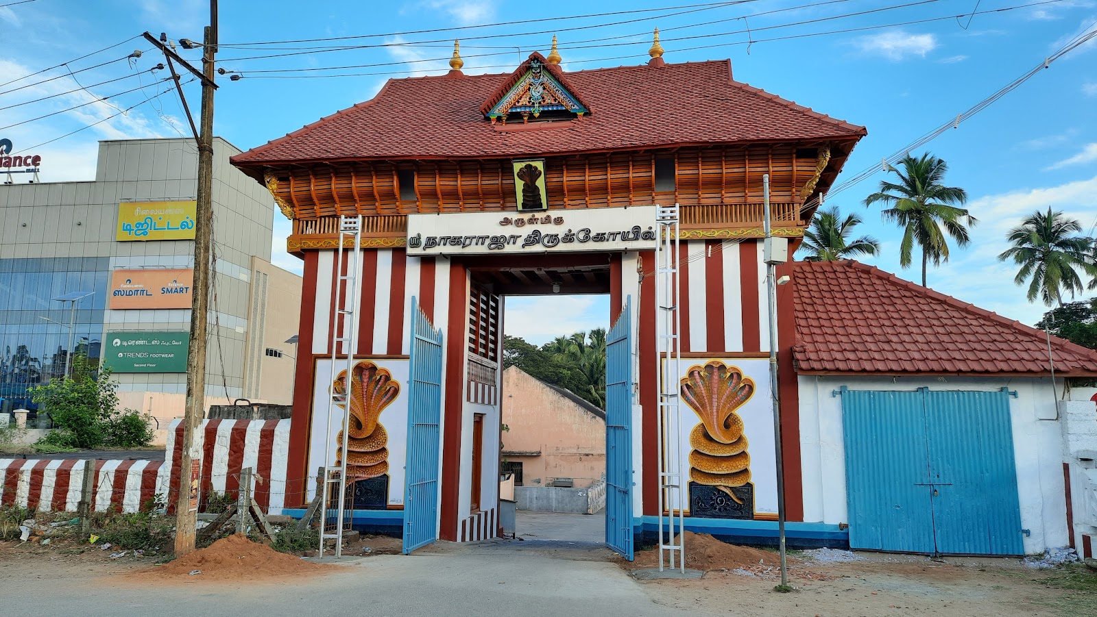 Arulmigu Sri Nagaraja Temple