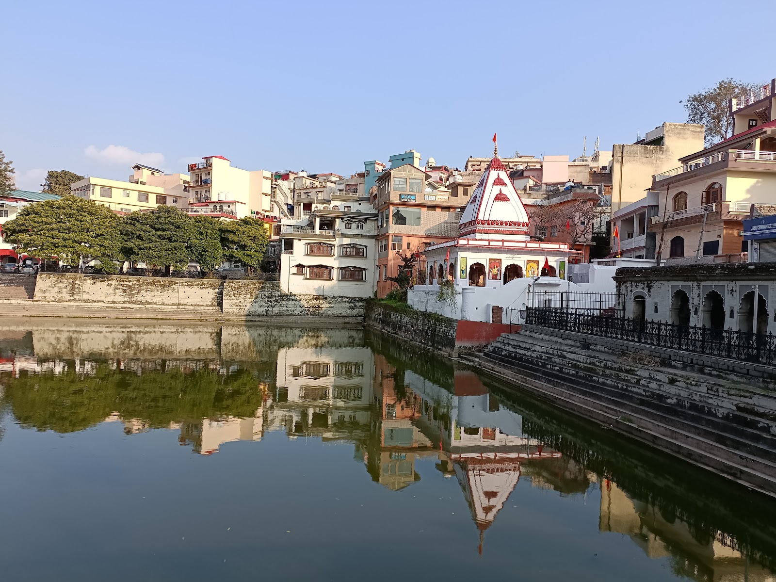 Rani Tal