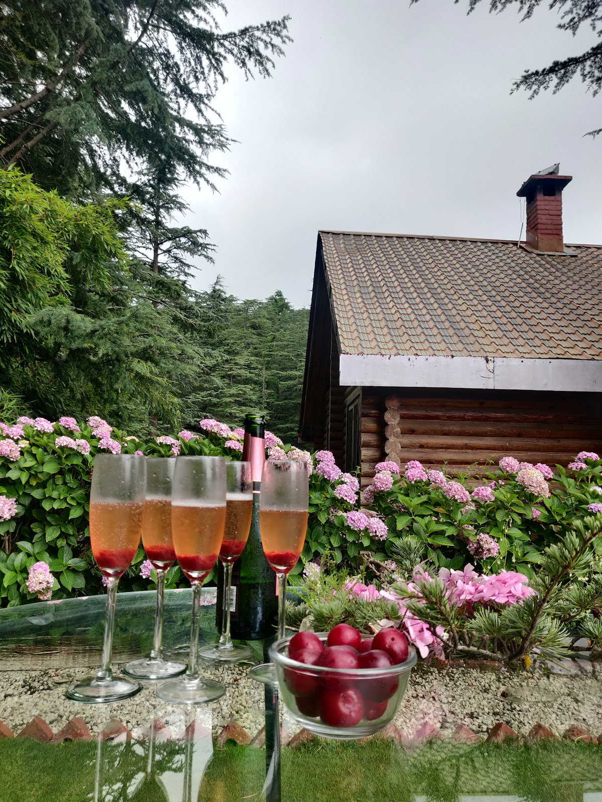 The Chalets Naldehra