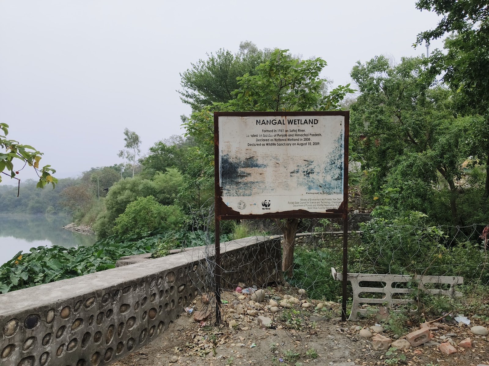 Nangal Wetland