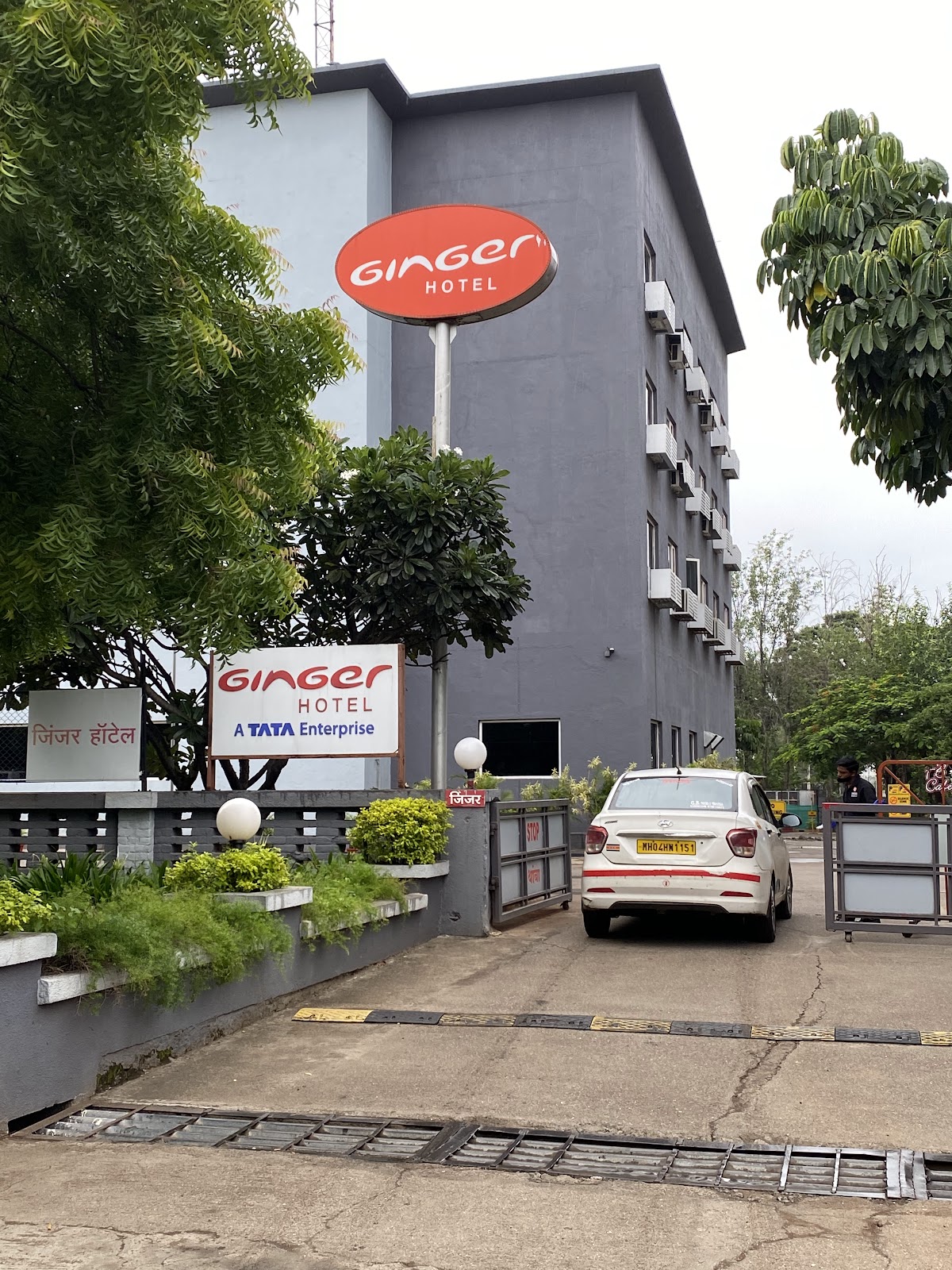 Ginger Nashik