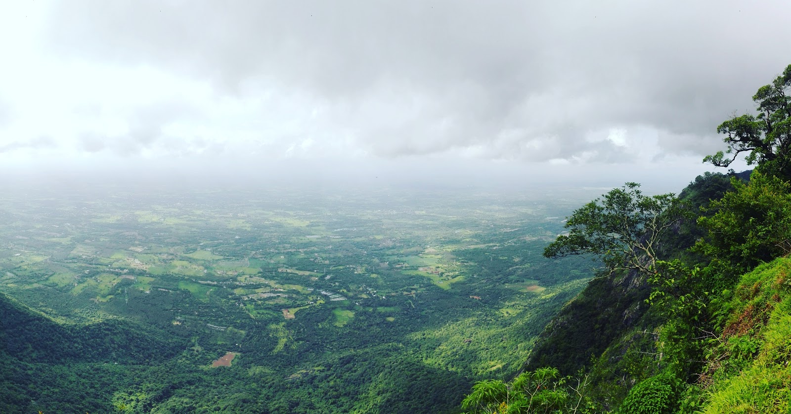 Nenmara - Nelliyampathy Road