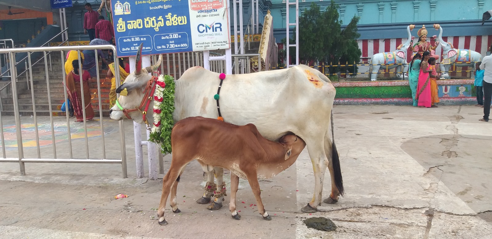 Penchalakona Temple Road