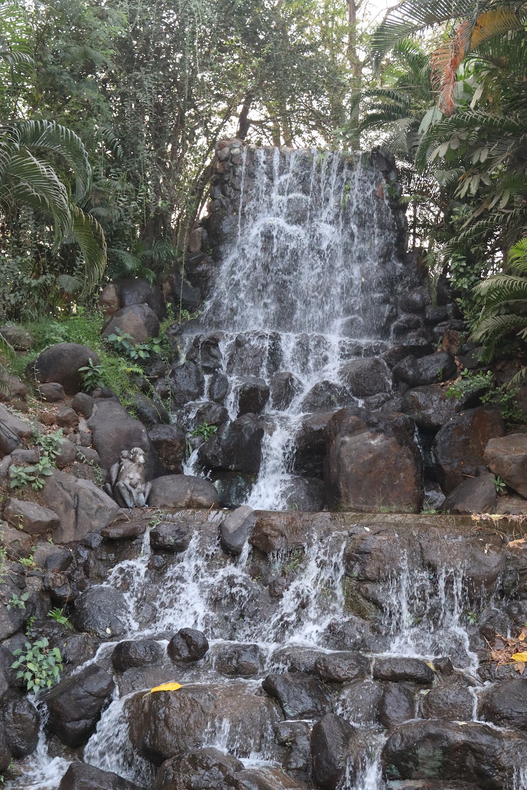 nerul
