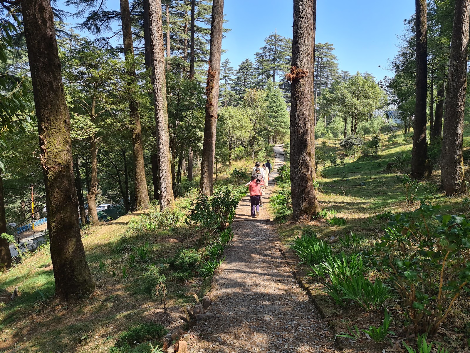 Dhanaulti