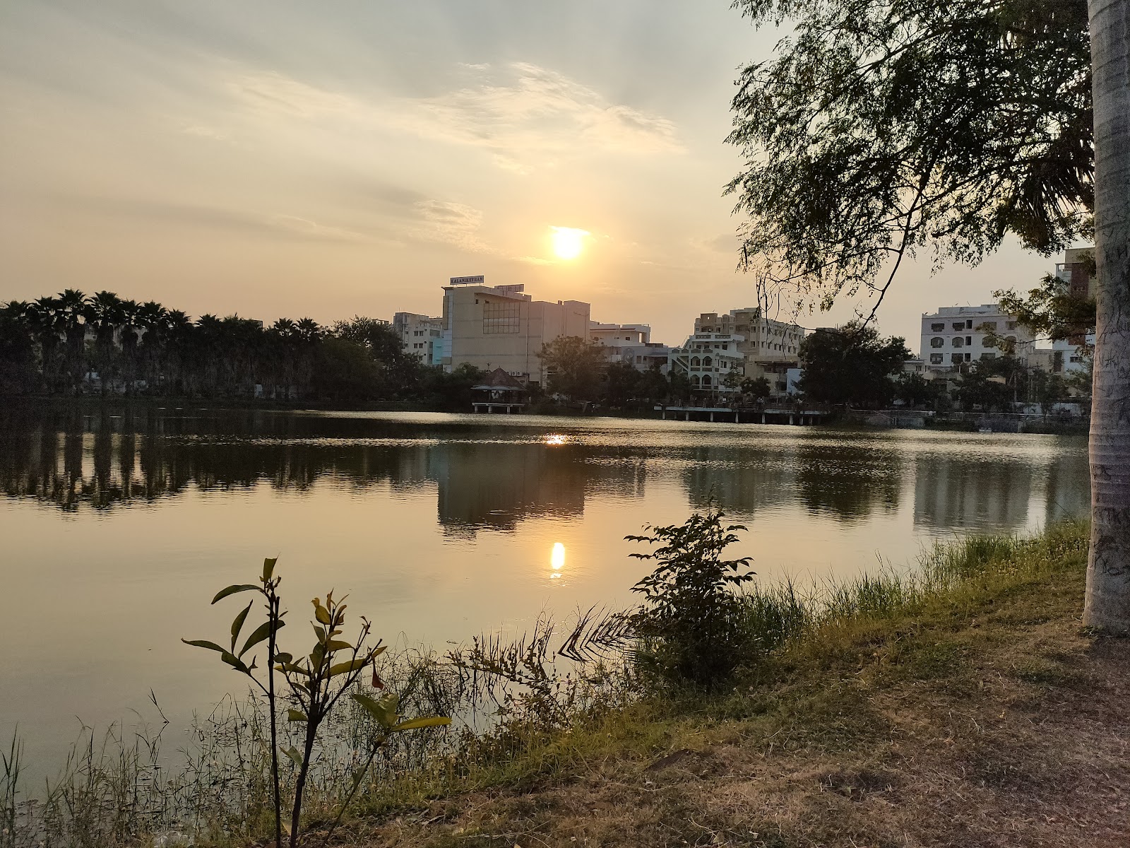 Gandhi Park