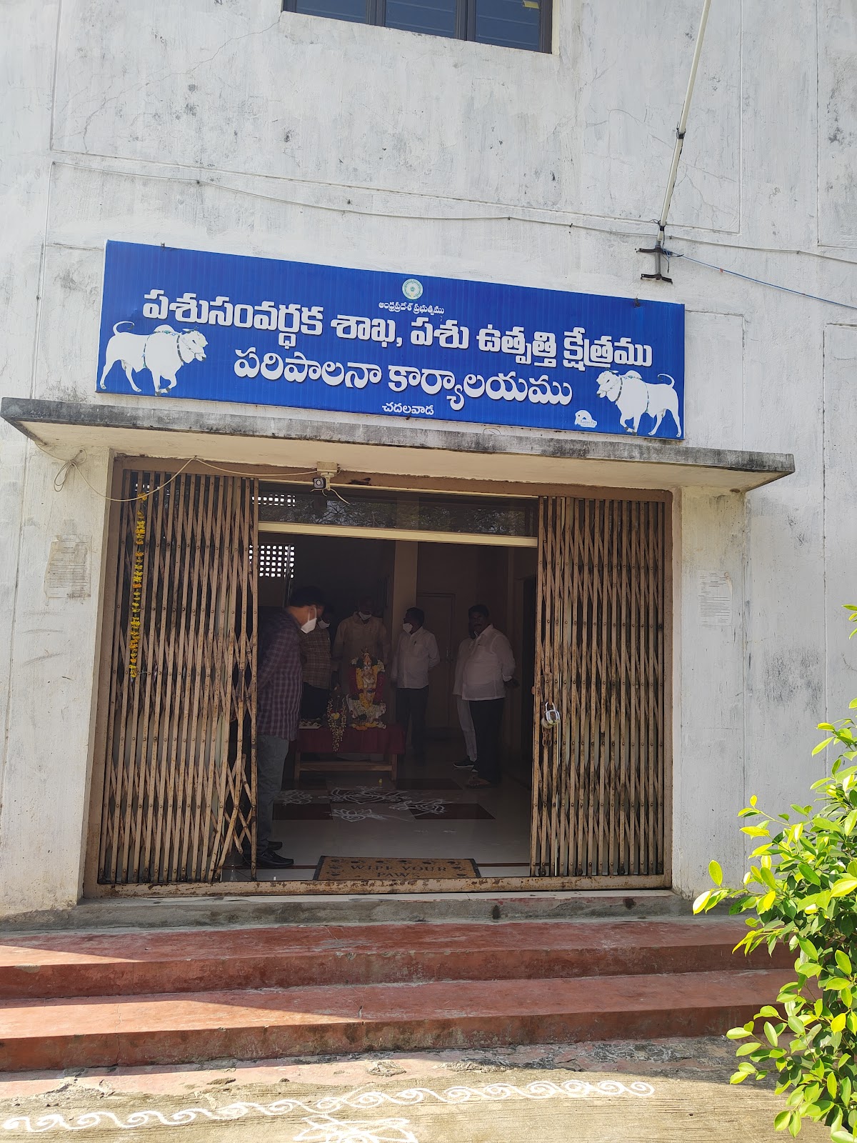 Ongole Cattle Breeding Center For Research And Development