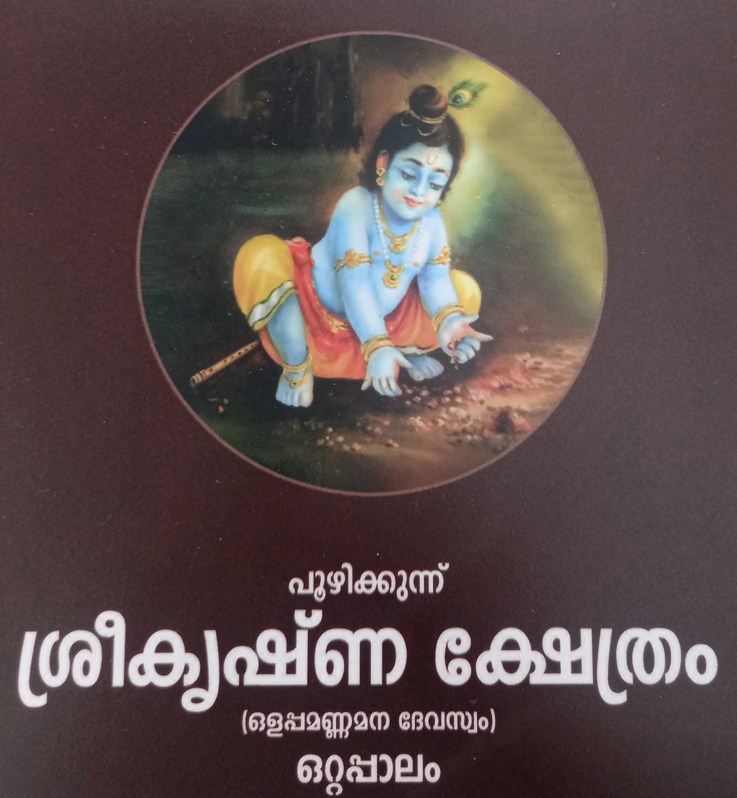 Poozhikunnu Sri Krishna Temple