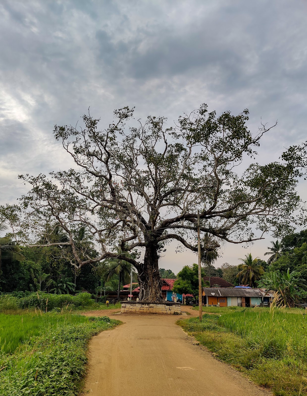 Panamanna Sankaranarayanaswami Temple