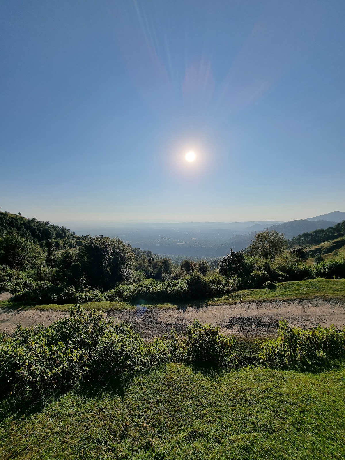 Bir Billing Camping Palampur Himachal