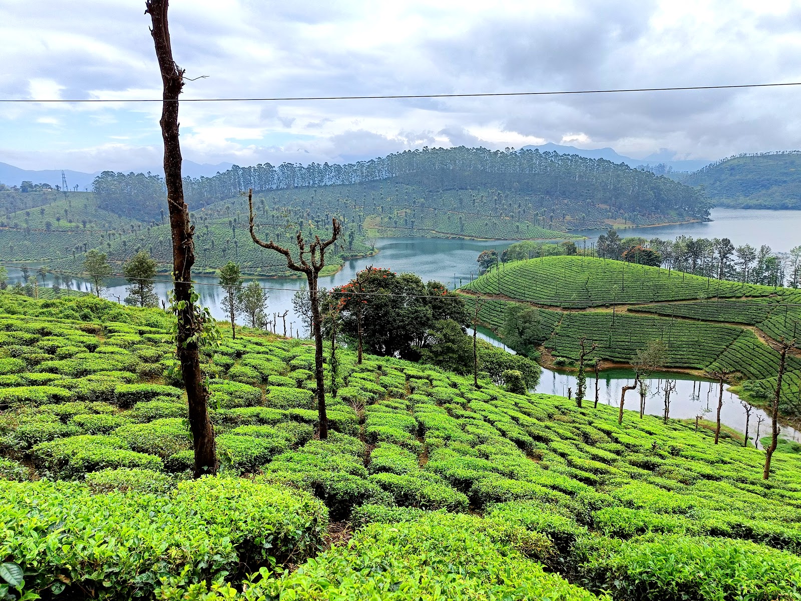 Valparai