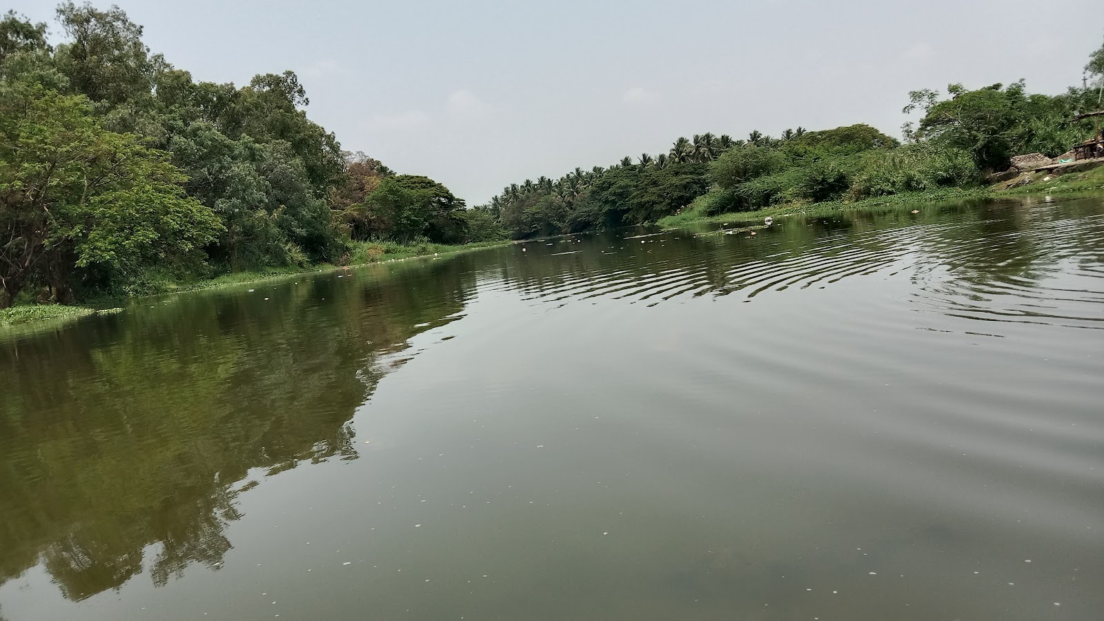 Shanmuga Nathi
