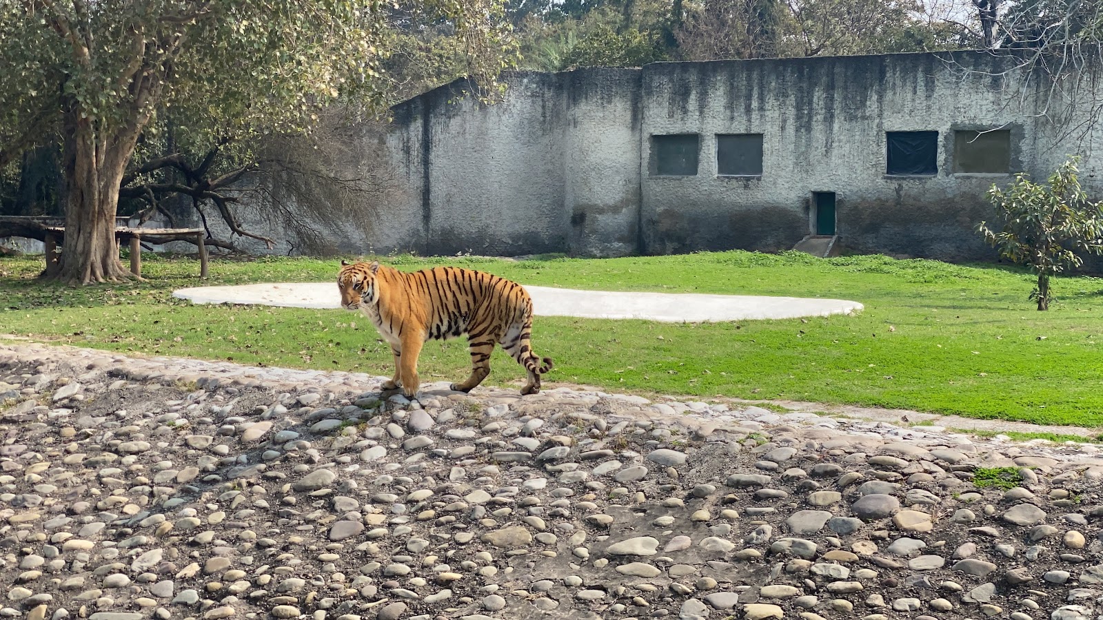 Mahendra Chaudhary Zoological Park