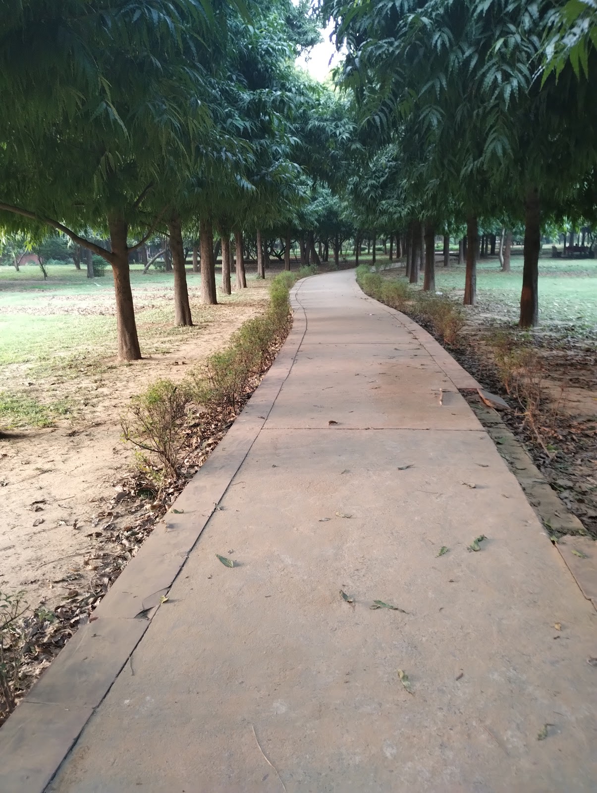 Tau Devilal Biodiversity Park