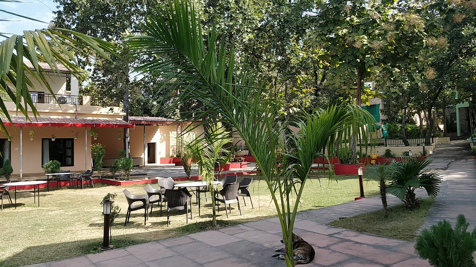 MPT Jungle Camp, Panna