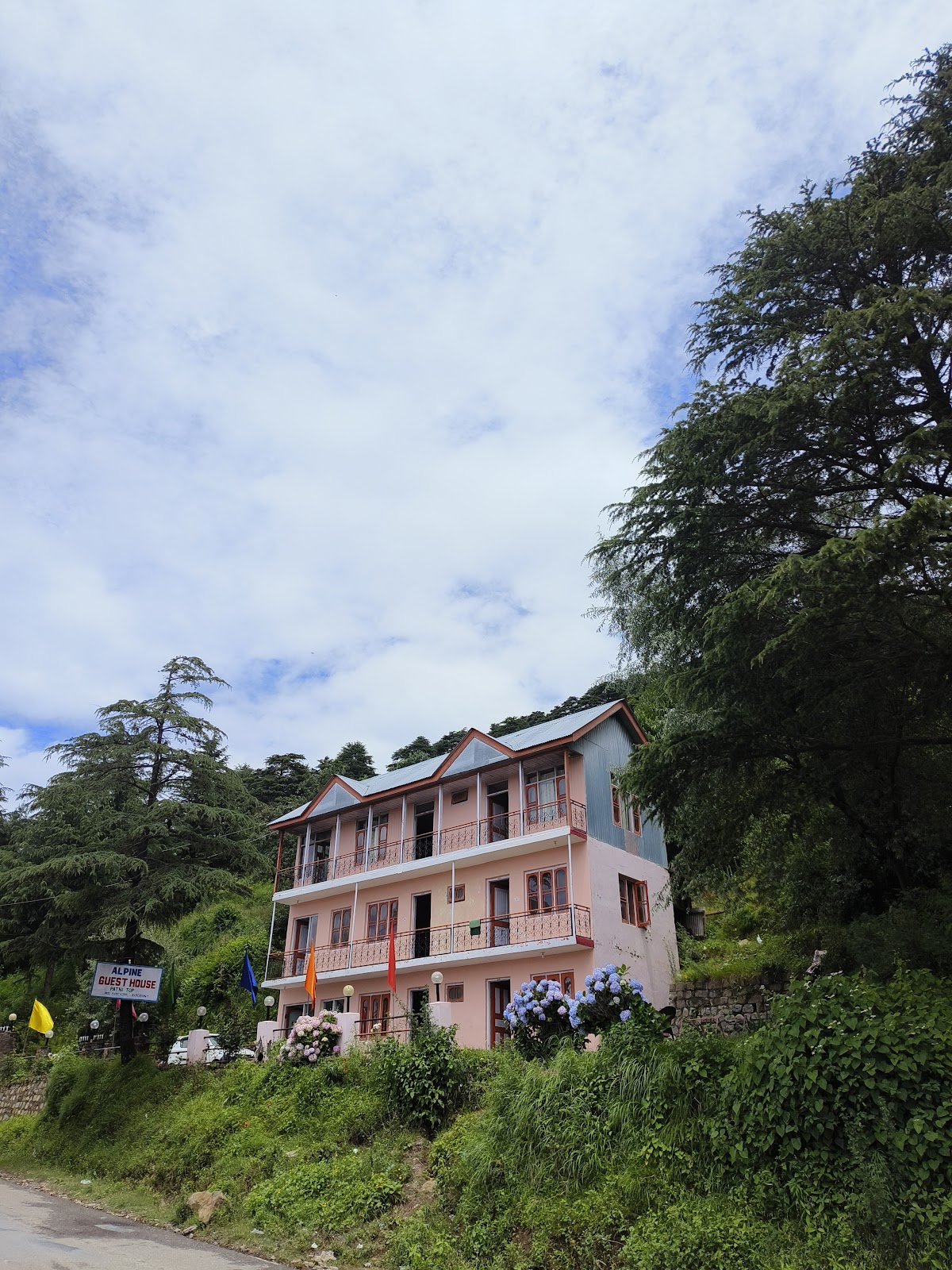 ALPINE GUEST HOUSE