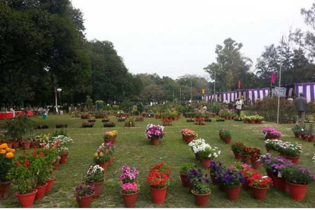 Rose garden