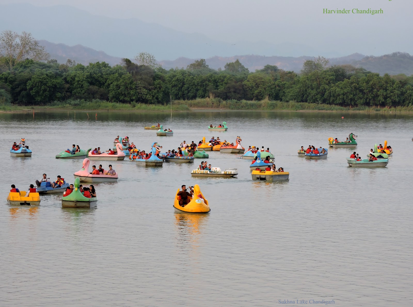 Sukhna Lake