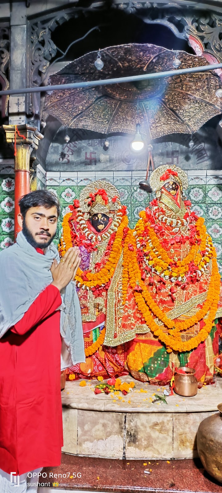 Maa Aranya Devi Temple , Ara